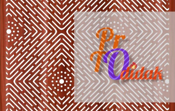 protodidak.com
