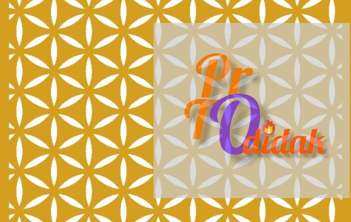 protodidak.com