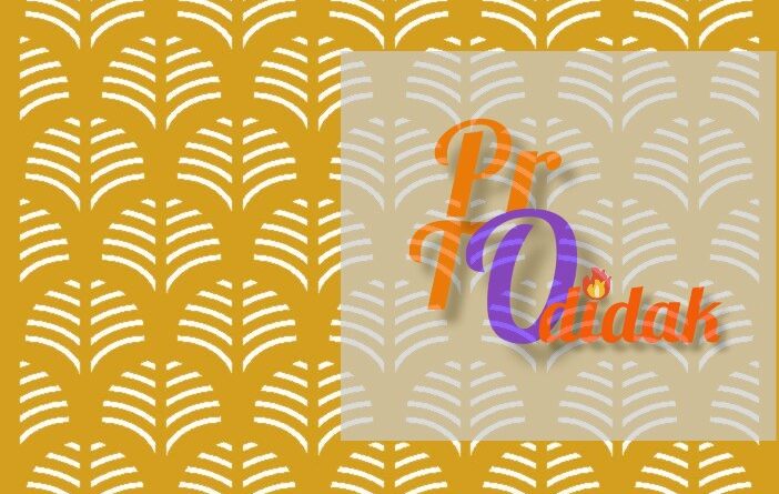 protodidak.com