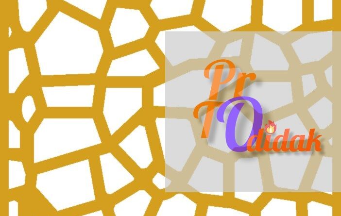 protodidak.com