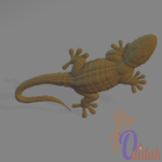 protodidak.com