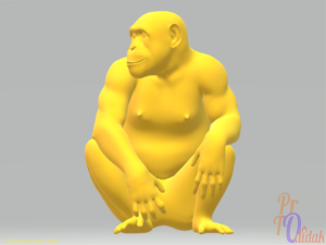 protodidak.com